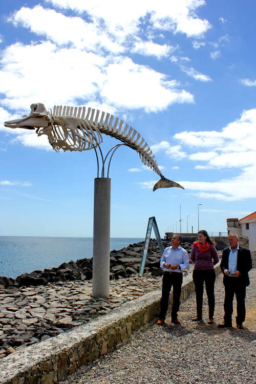 web-1-senda-cetaceos.zifio-gran-tarajal-4 Fallece Manuel Carrillo, impulsor de la Senda de los Cetáceos en Fuerteventura