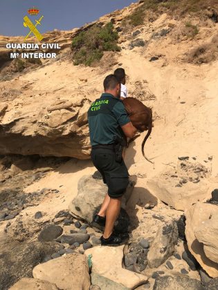 WhatsApp-Image-2021-08-18-at-10.40.39-315x420 La Guardia Civil rescata a 2 perros deshidratados en una playa de Fuerteventura