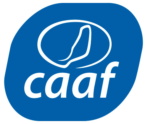 El CAAF renovará redes generales