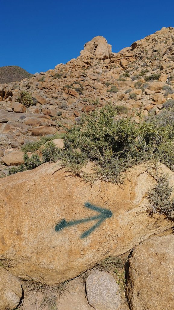 321993494_494972179445165_5919967043683405829_n-577x1024 Vandalismo «sin escrúpulos» en un yacimiento arqueológico de Fuerteventura