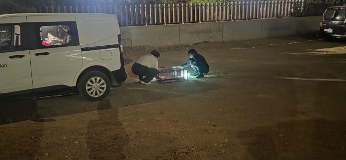 Bienestar Animal 3 (1)