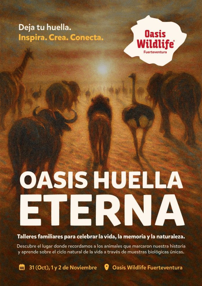 WhatsApp Image 2025-10-30 at 14.03.35