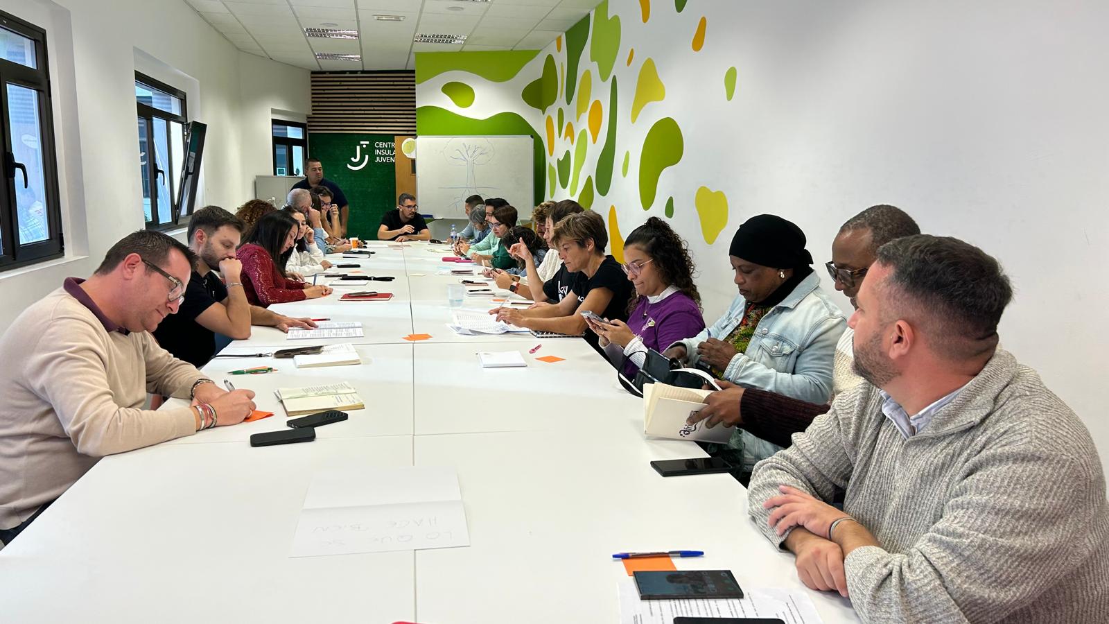 The Cabildo Advances in Developing the II Insular Youth Plan 2026-2030