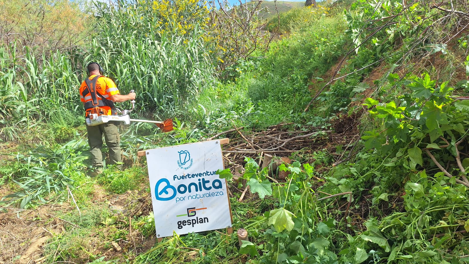 Intensive Debris Clearing and Cleaning by the Cabildo in the Streams of Betancuria